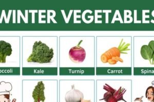 winter vegetables in pakistan