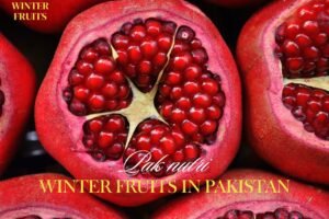 winter fruits in pakistan